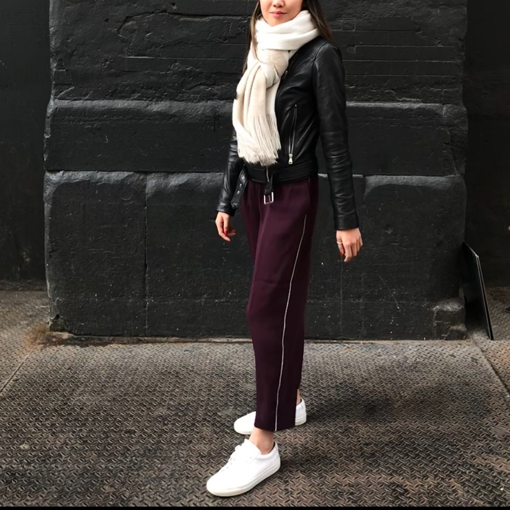 Aritzia Modesto Pants